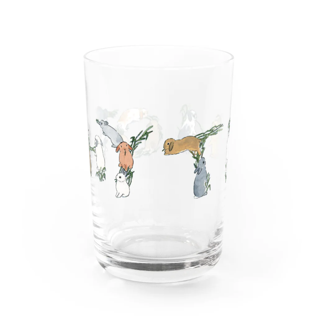 SCHINAKO'SのTIMOTHY Water Glass :back