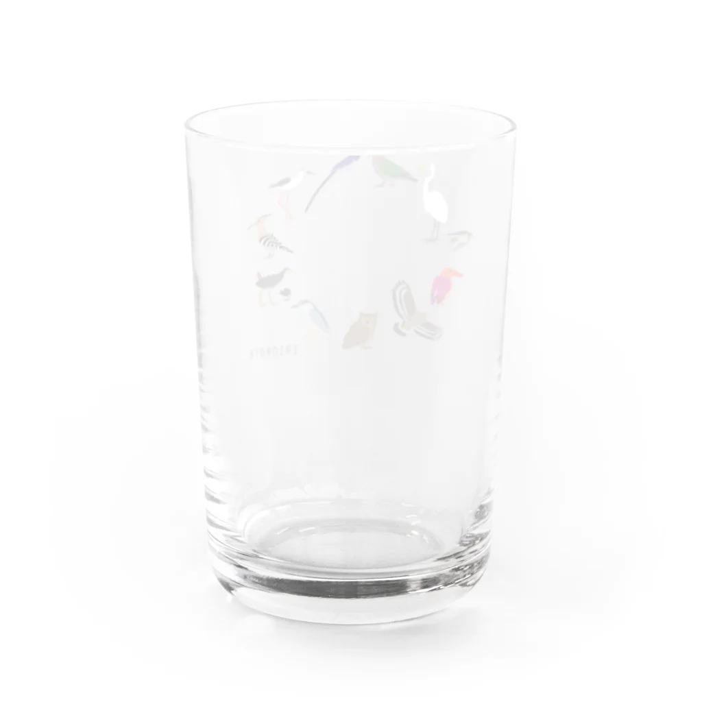 しまのなかまfromIRIOMOTEのしまのなかまスピンオフ『トリース』 （増量）文字が IRIOMOTEのみ Water Glass :back