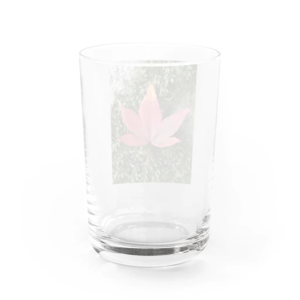 Ritsukokoroのmomijiee Water Glass :back