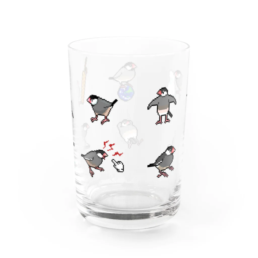 たかはらの桜文鳥が集合したよ Water Glass :back