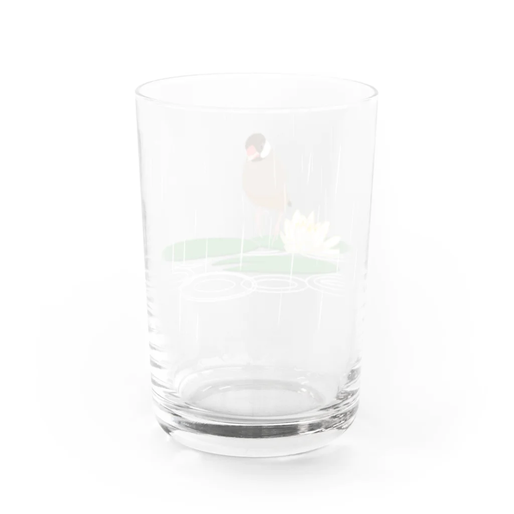 たかはらのケロケロ文鳥 Water Glass :back