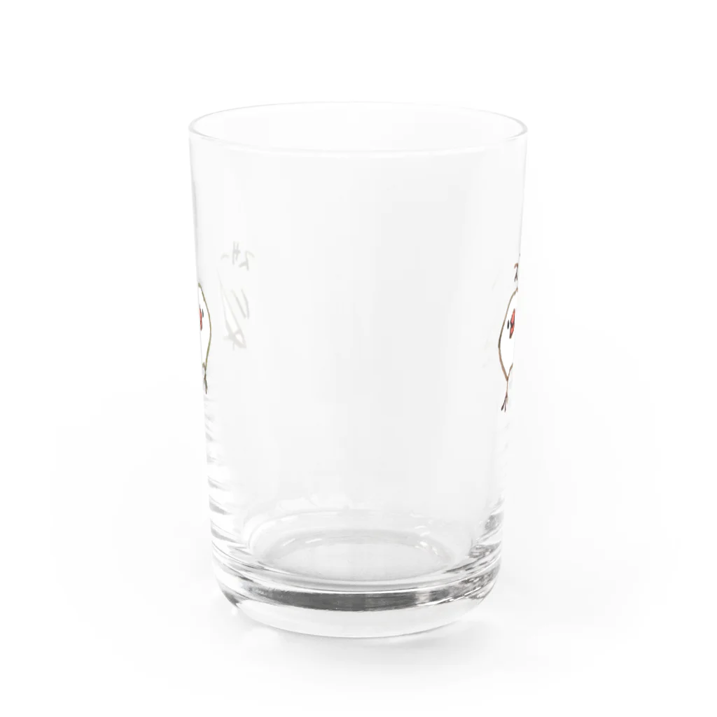 emiのスサー Water Glass :back