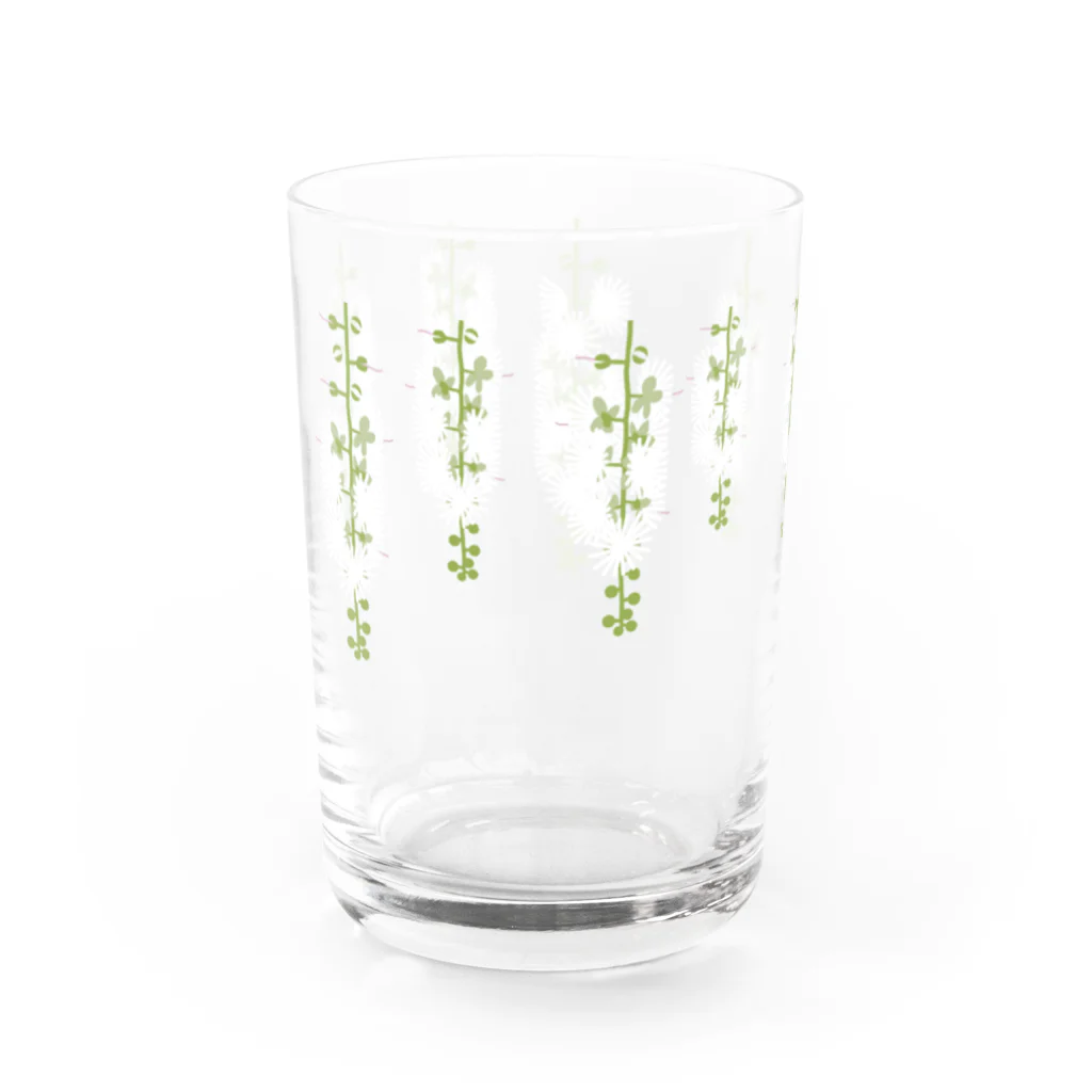 しまのなかまfromIRIOMOTEの西表島の白い花（サガリバナ） Water Glass :back