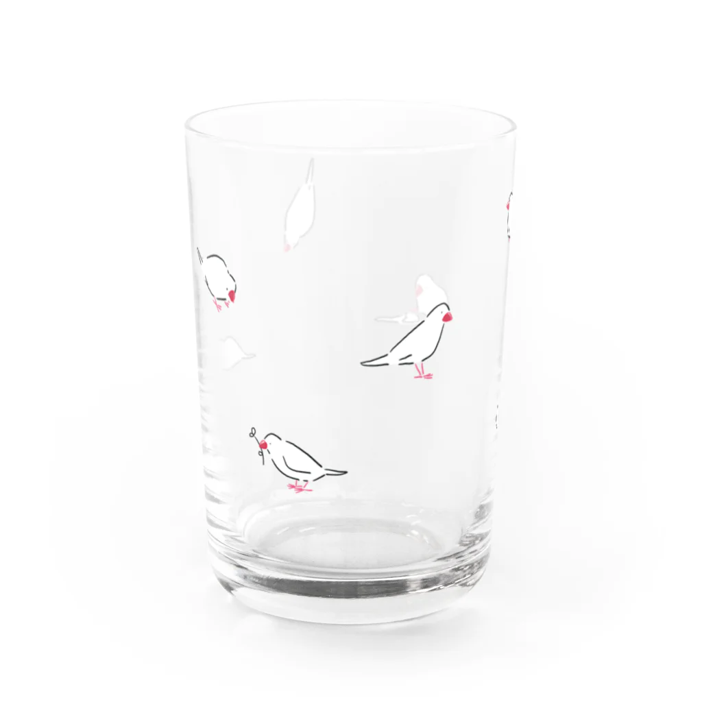 kfkxのシロブンチョウ Water Glass :back