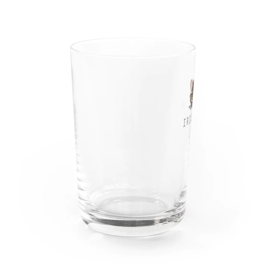 しまのなかまfromIRIOMOTEのIRIOMOTE イリオモテヤマネコ（顔） Water Glass :back