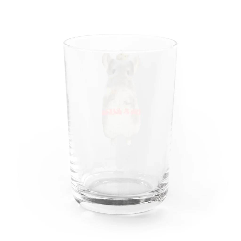 うにといくらのうにといくら Water Glass :back