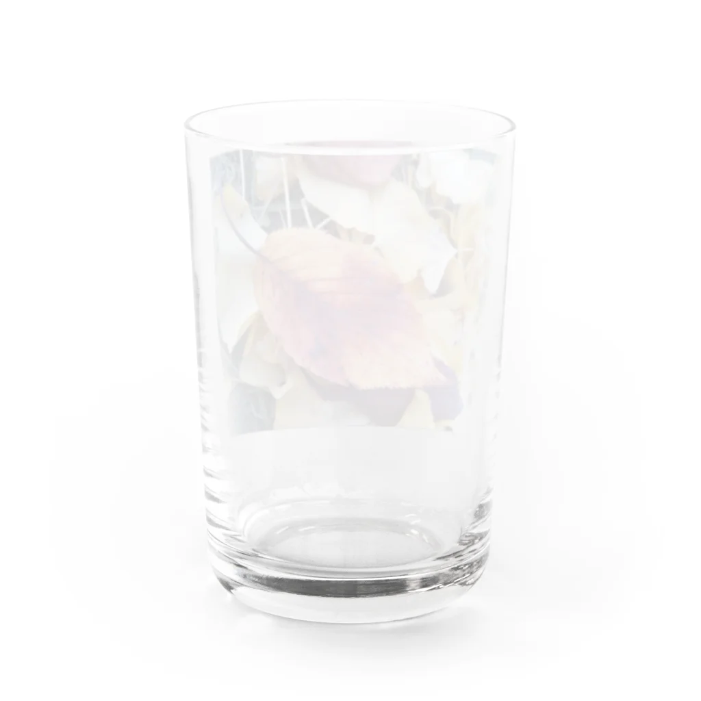 masaking-chance_4512のAW Water Glass :back