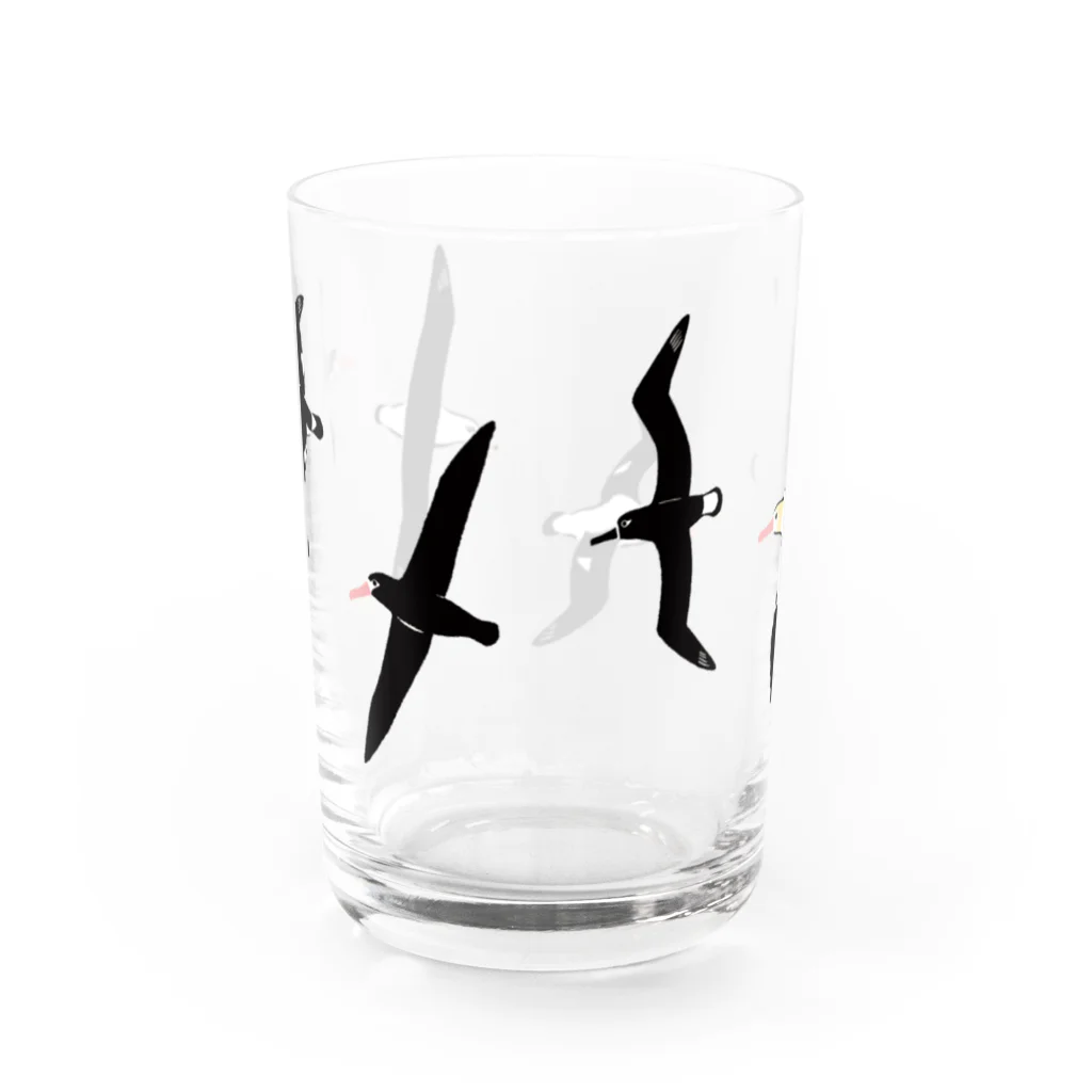 piro piro piccoloのアホウドリたち Water Glass :back