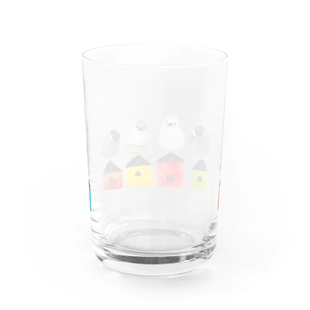 tomocoの文鳥の家族 Water Glass :back