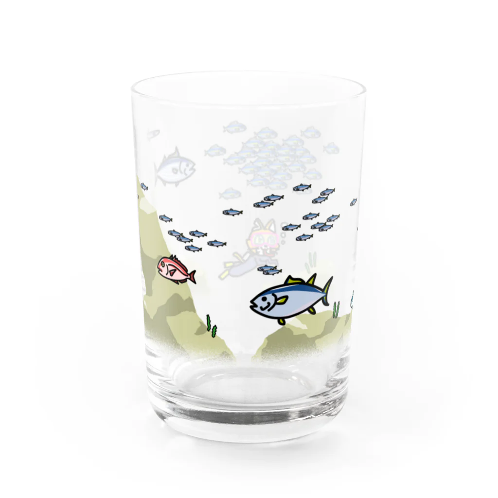 キャットＣのこうじょうけんがくのダイビングキャットC Water Glass :back