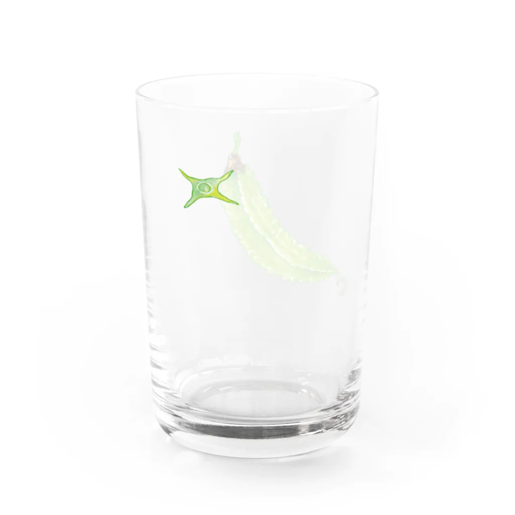 よそ町のシカクマメ Water Glass :back