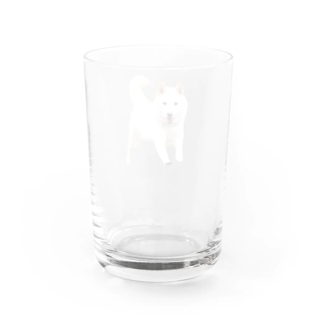 uzr_のとびだせチロちゃん！ Water Glass :back