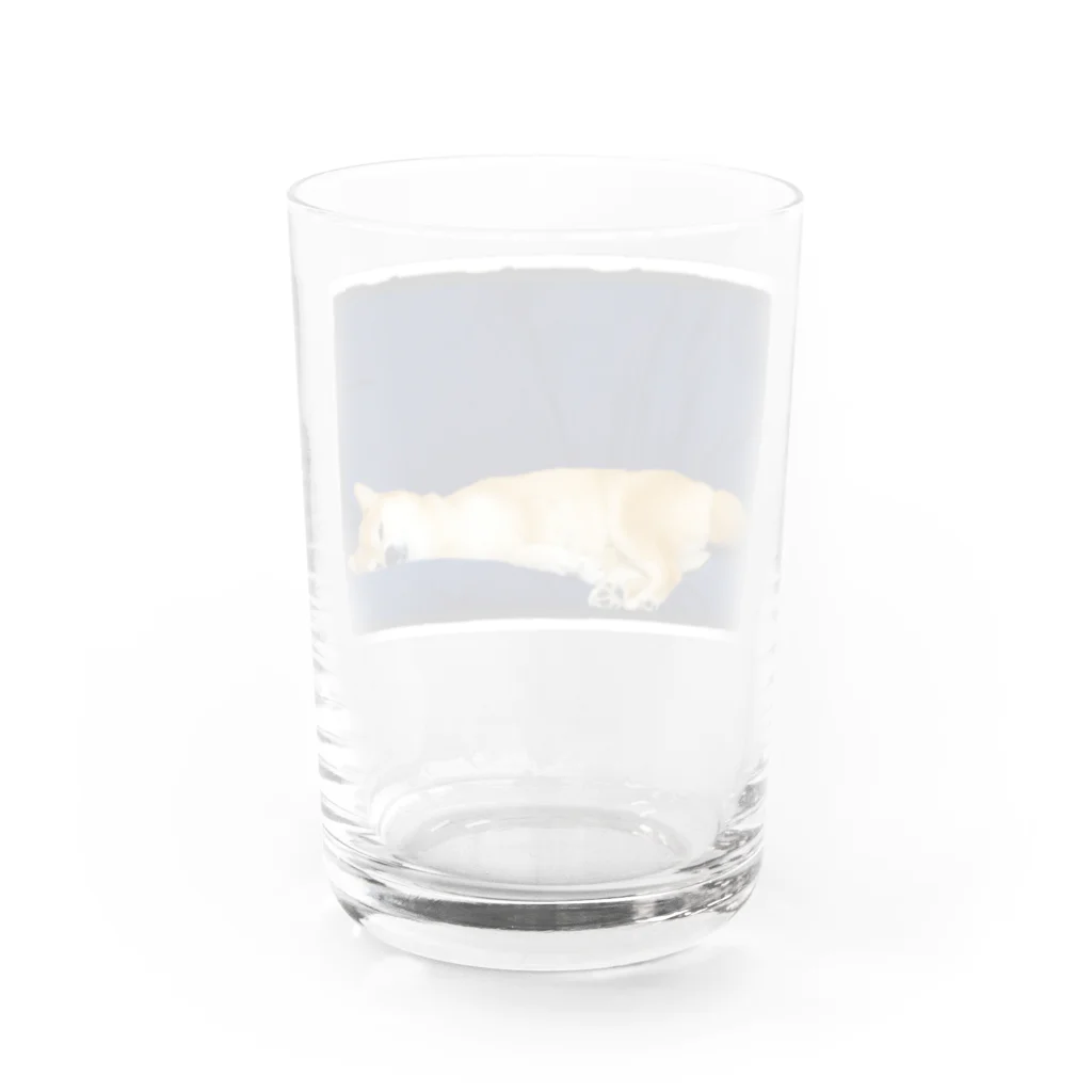 どんぐり工房の虚無顔なっちゃんぐらす Water Glass :back