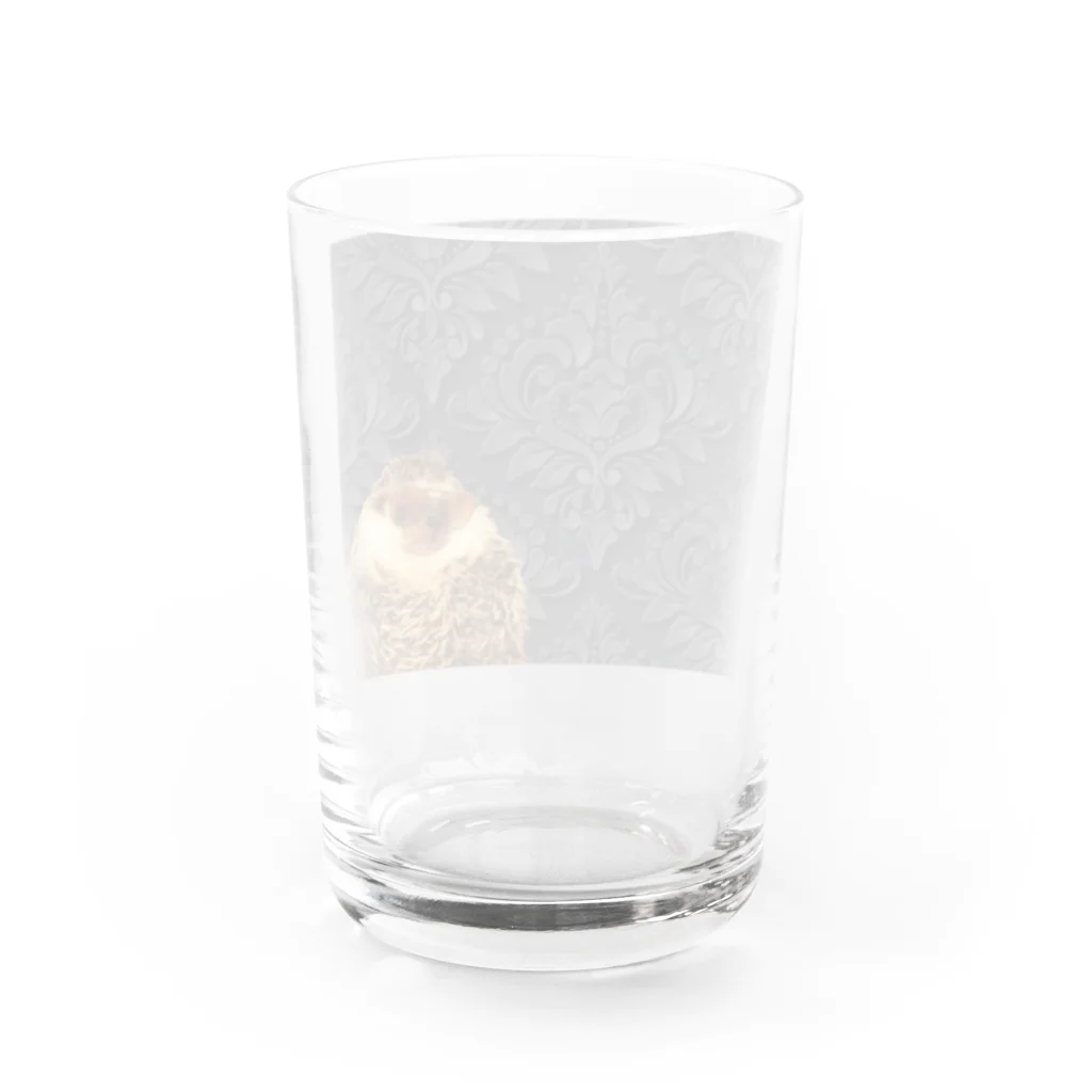 ハリネズミつんさんのグッズのハリネズミつんさんラグジュアリーその2 Water Glass :back