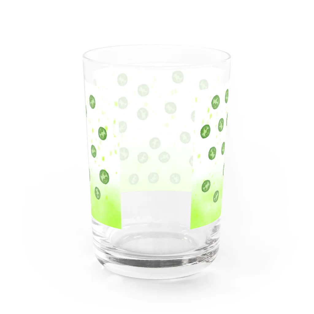 sasami.<ささみ>のボルボックス（親友）グラス Water Glass :back