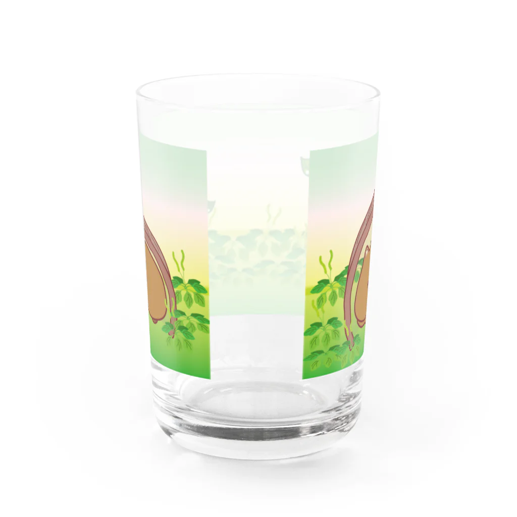 wombat_yuのお昼寝ウォンバットTumori ちゃん Water Glass :back