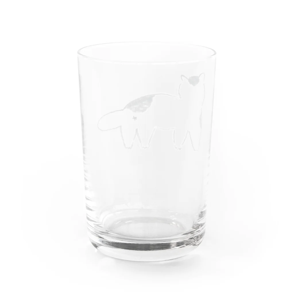 yosicoのブチネコ Water Glass :back