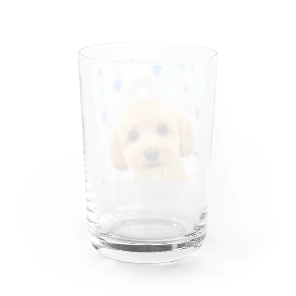 Titaniaのわんこ Water Glass :back