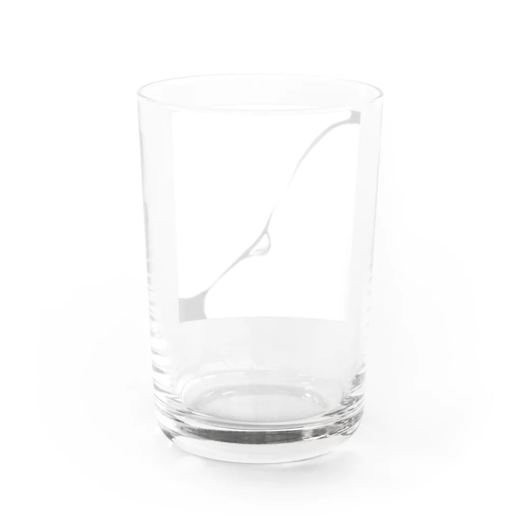 藻川湯畔の人間 Water Glass :back