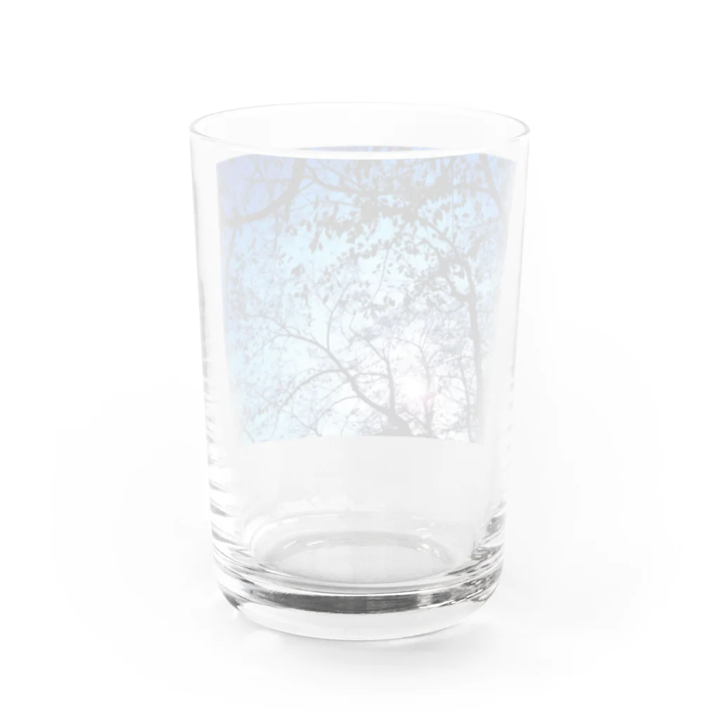 Tesoroの光と影と上野 Water Glass :back
