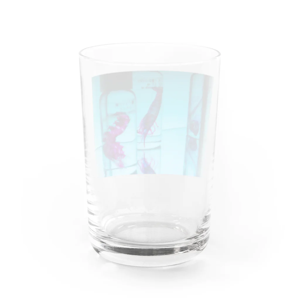 脳海の透明標本たち Water Glass :back