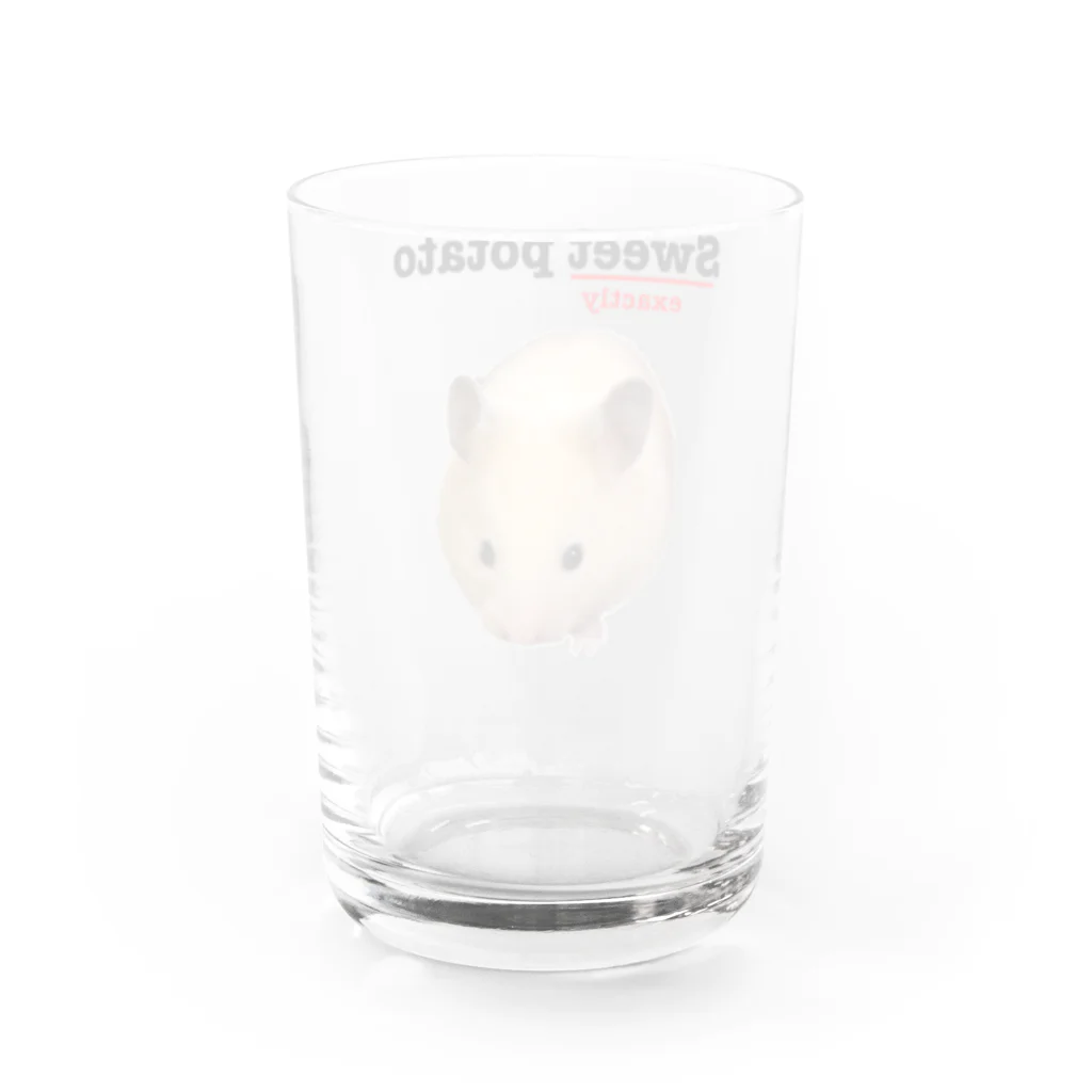 鶏五目ちゃんのさつまいも Water Glass :back