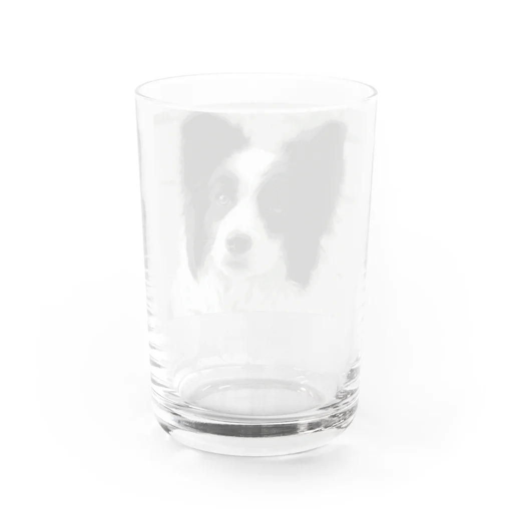 えっちゃんのボーダーコリー Water Glass :back