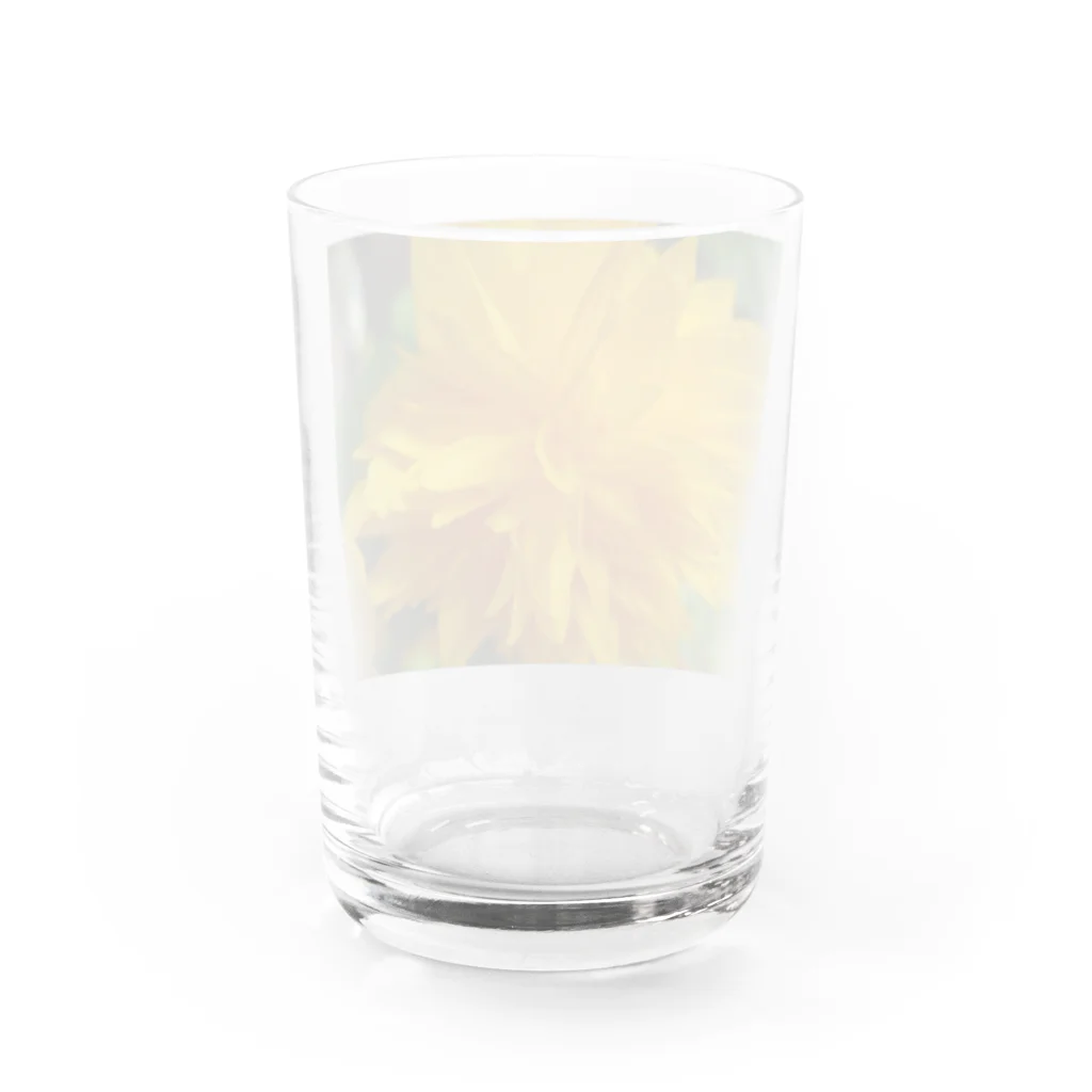 Dreamscape(LUNA)の輝きを求めて・・・ Water Glass :back