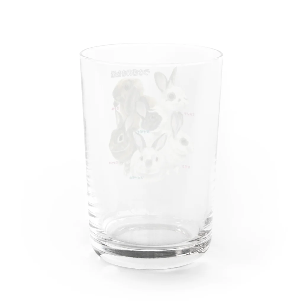 🐇のんくく🐇(❤️くろえ君❤️)のうさぎのきた道 名入 保護うさぎ  Water Glass :back