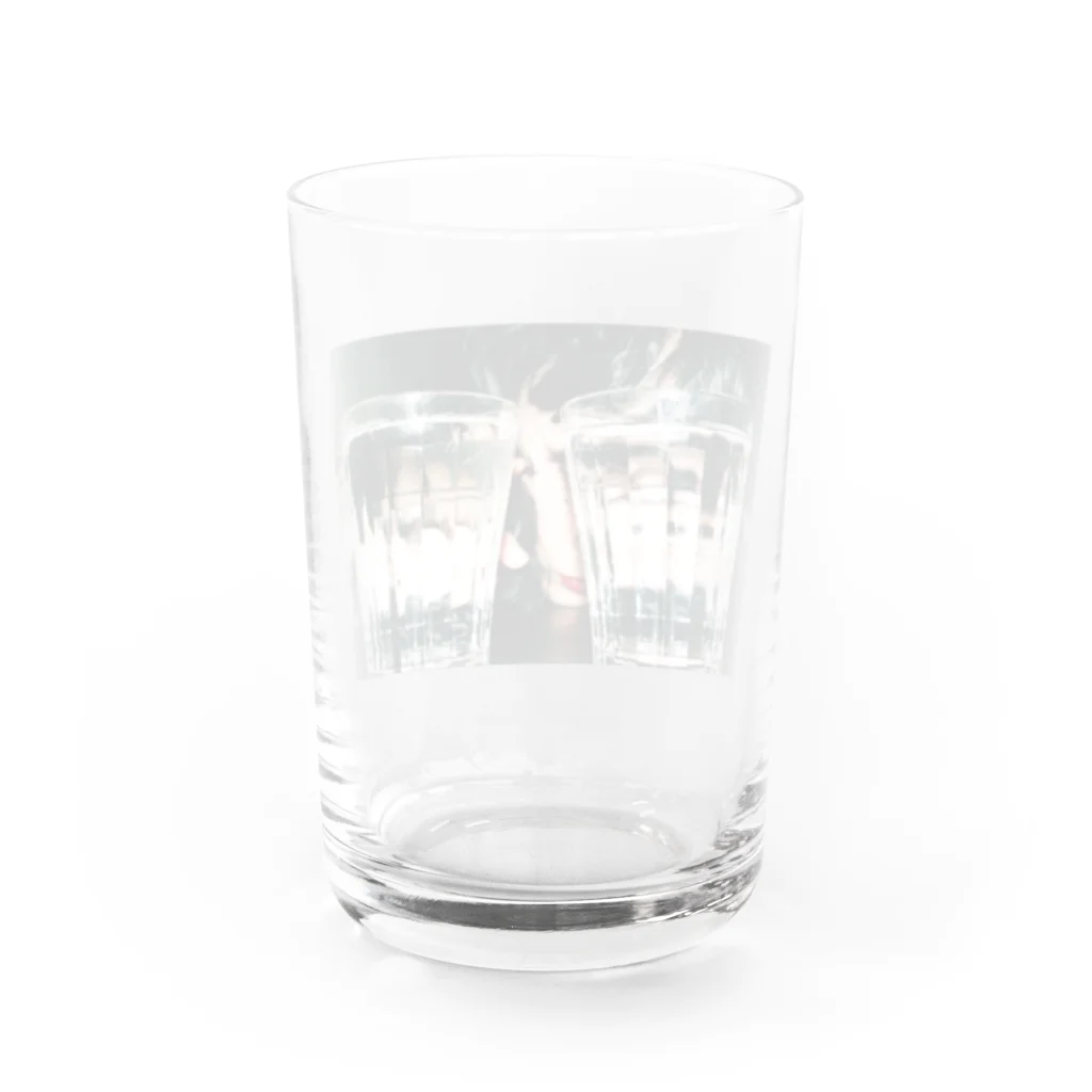 山掛とろろの猫除けは効かない Water Glass :back