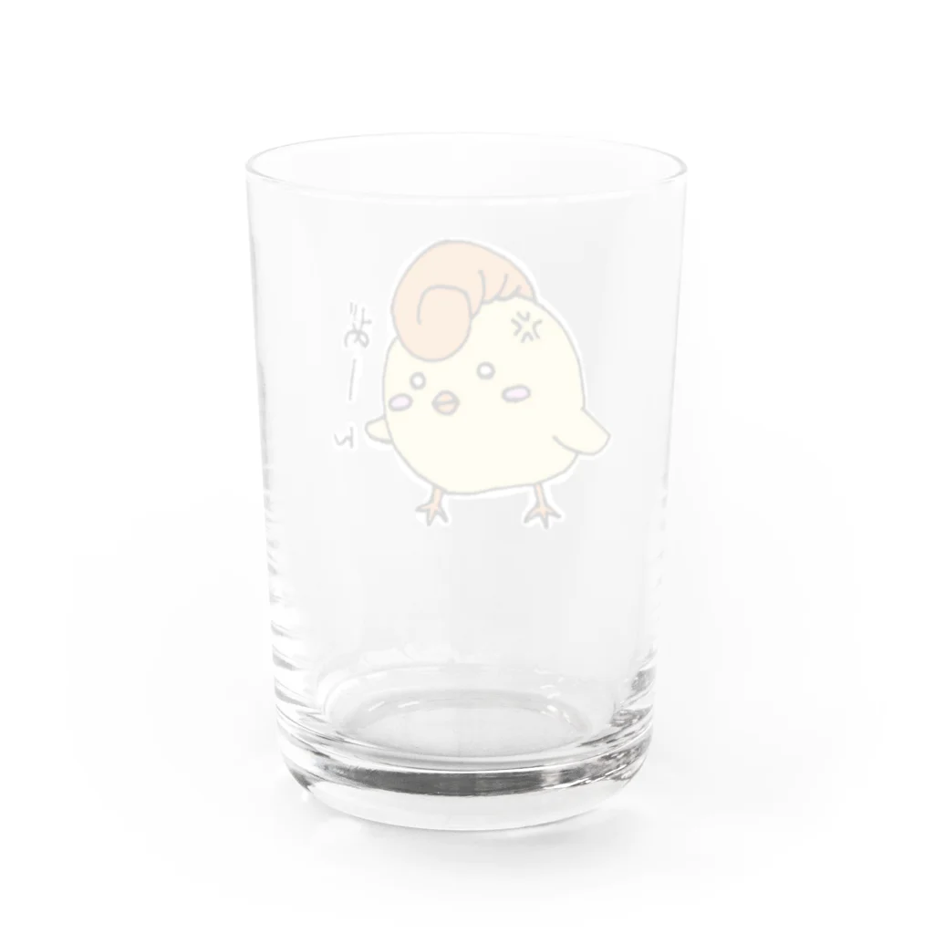 柴犬CHIROの不良のぴよ助さん Water Glass :back