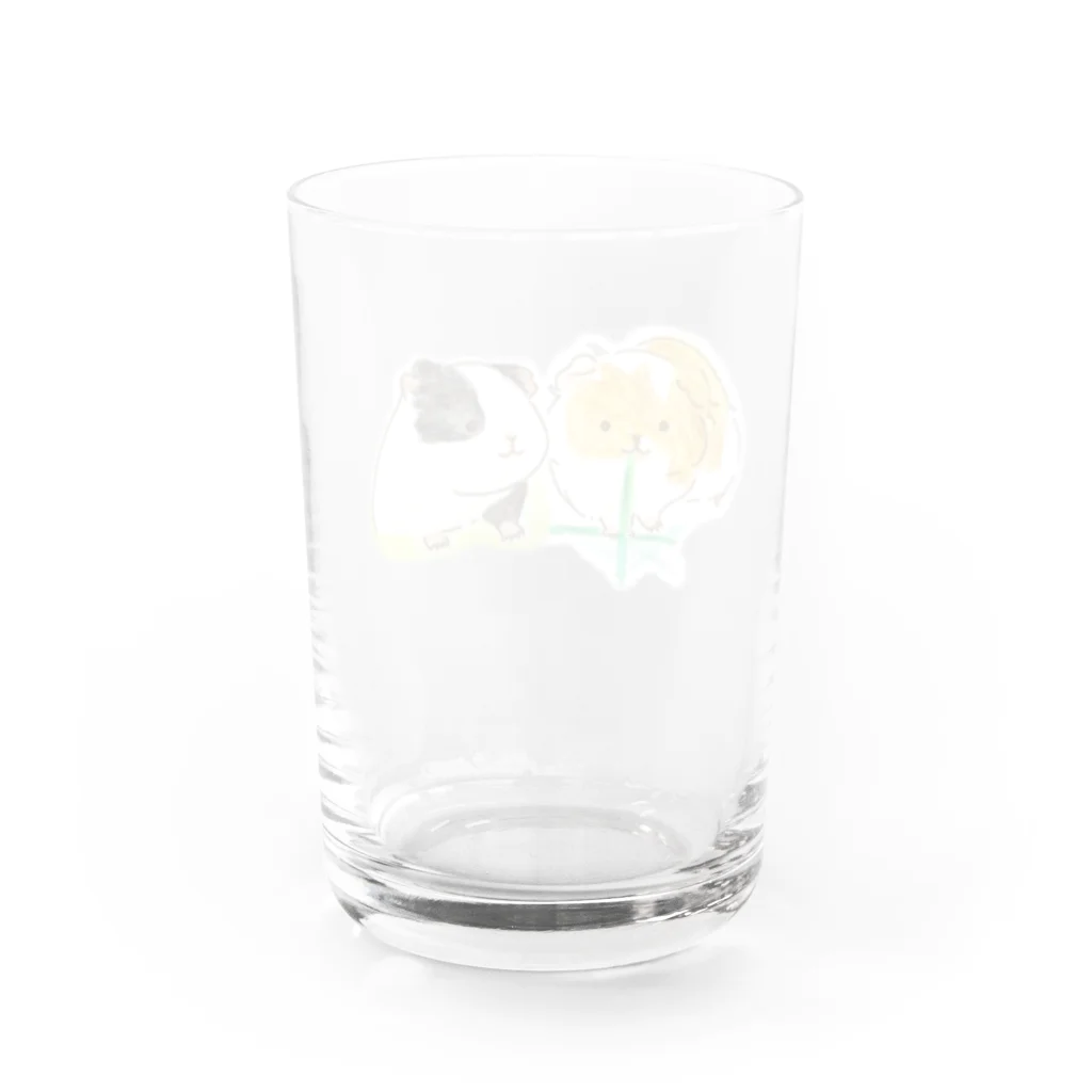 mugiのちゃちゃくんごまちゃん Water Glass :back