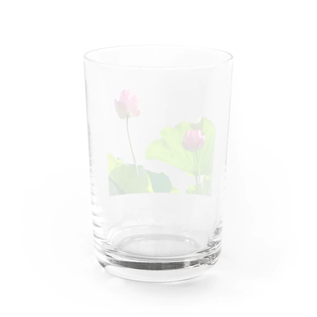 あるくろさんの蓮 Water Glass :back