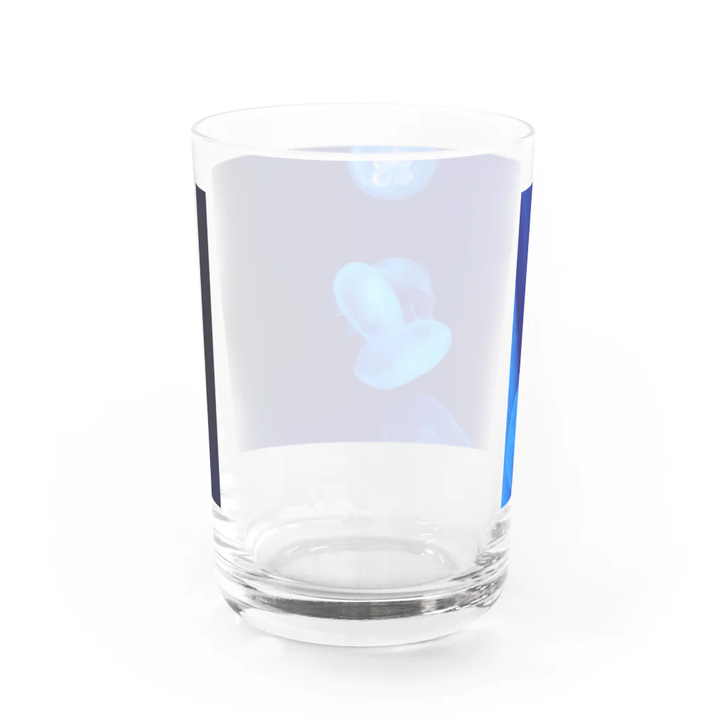 自由騎士のミズクラゲ Water Glass :back