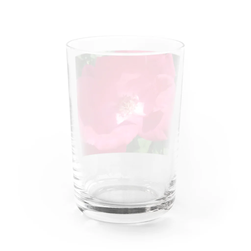 Dreamscape(LUNA)の高ぶる気持ちは・・・？ Water Glass :back