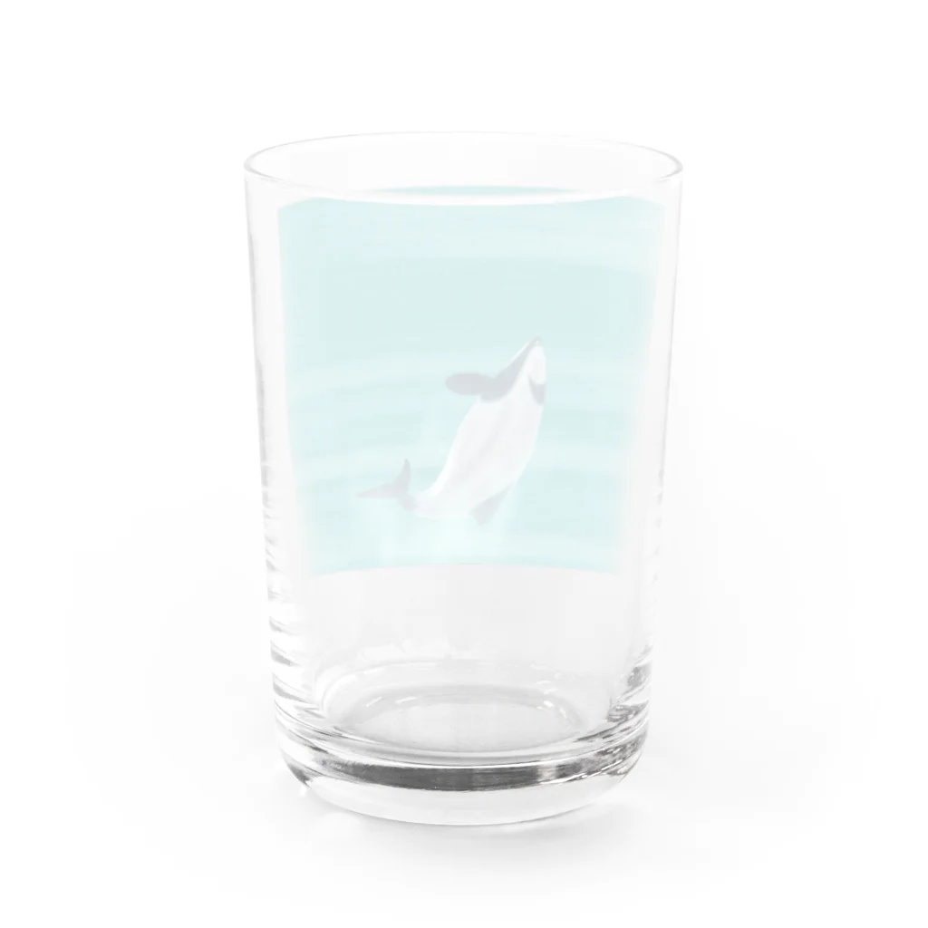 Ori-iro　イルカやシャチをお届け！のセッパリイルカのジャンプ Water Glass :back