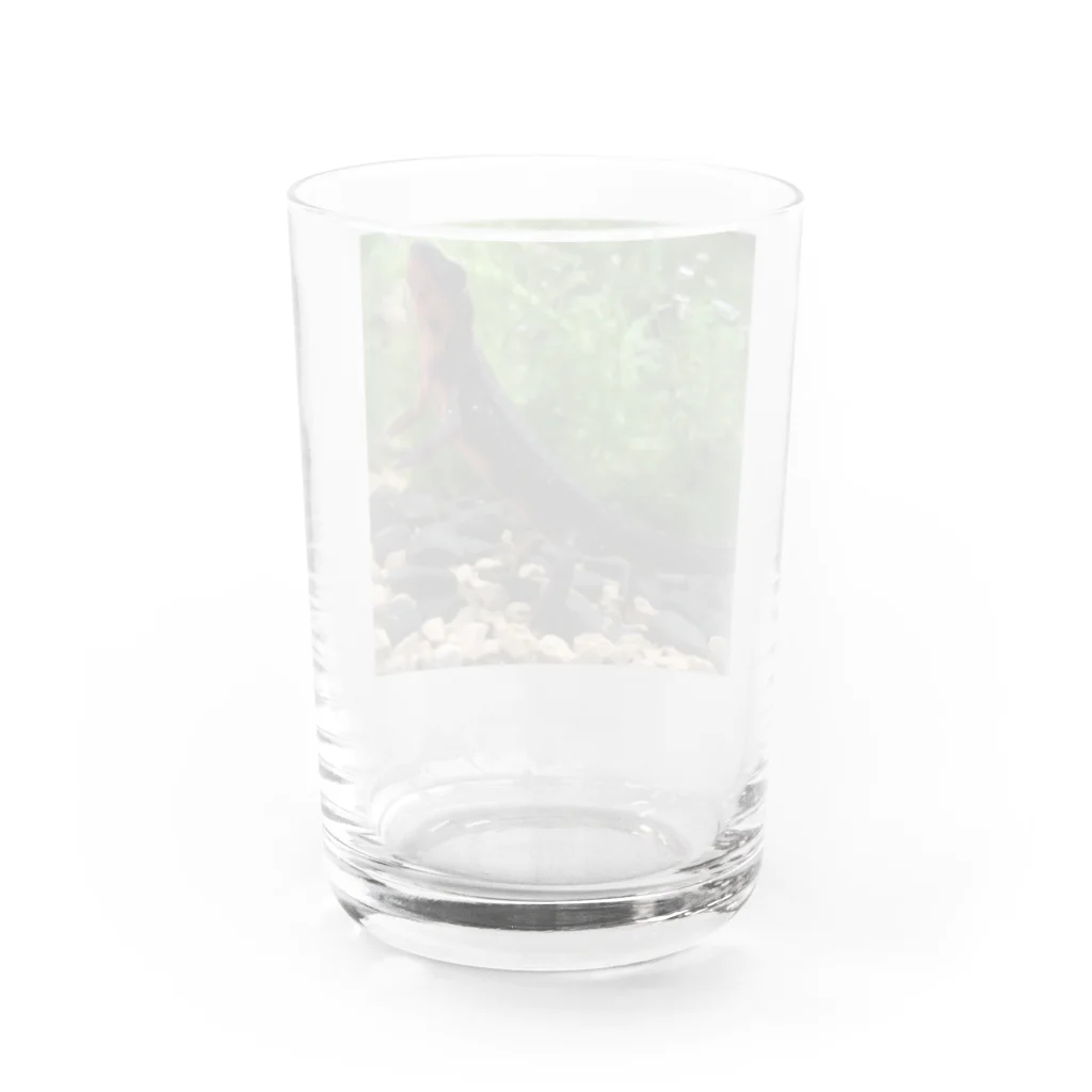 Kanjiのシリケンイモリ Water Glass :back