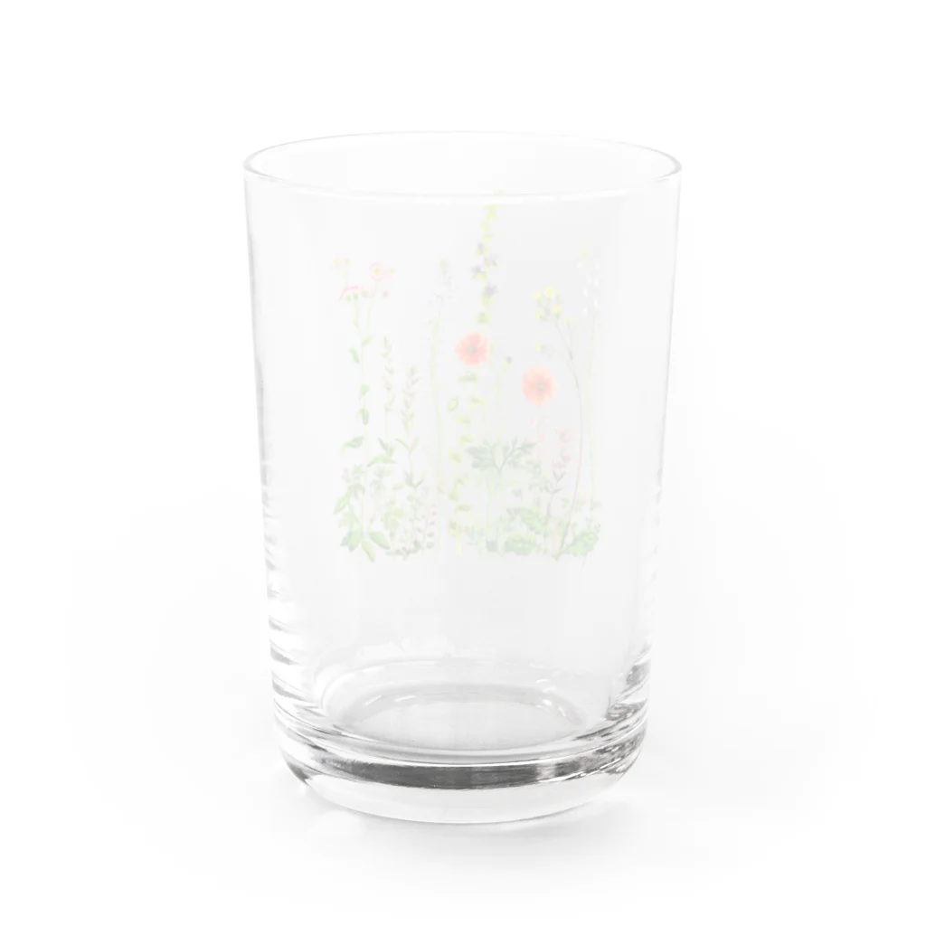 すずめ工房の野の花 Water Glass :back