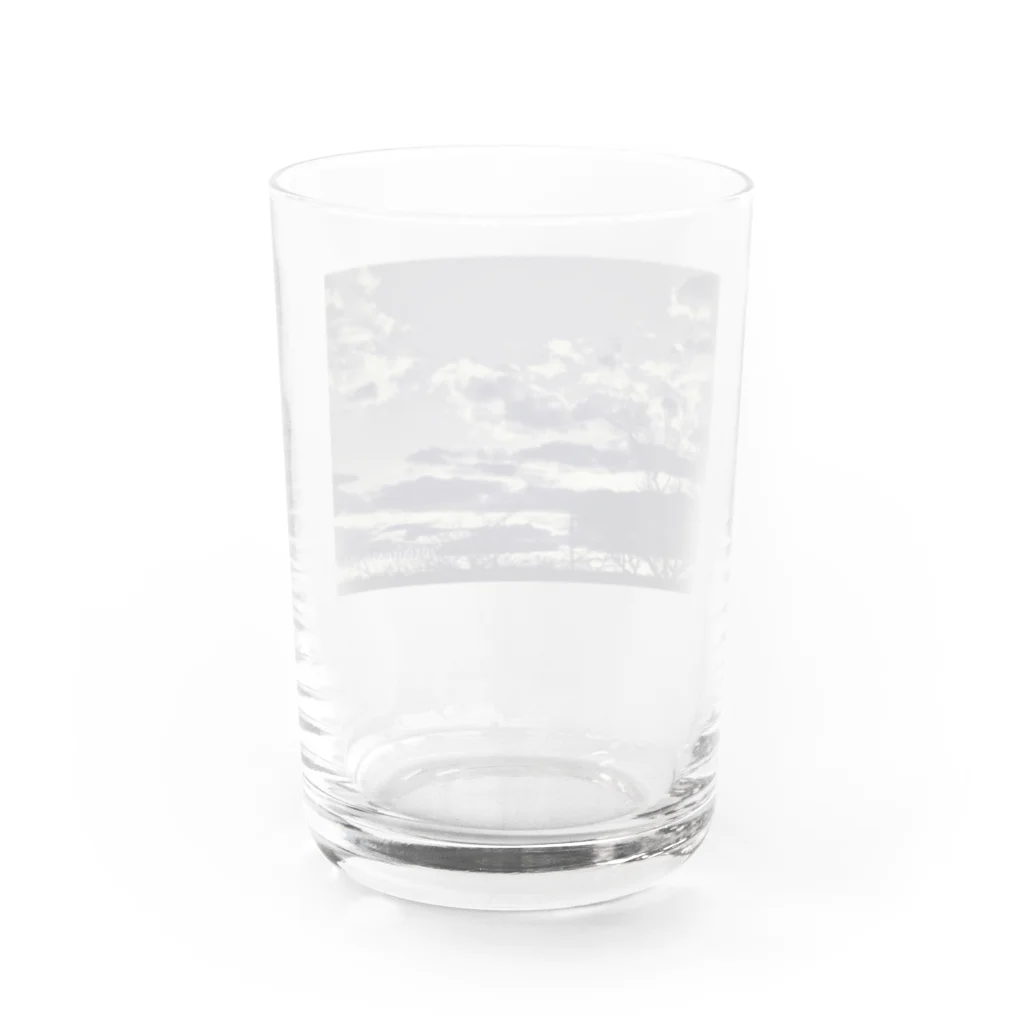 そらいろもようのハイイロセカイⅤ Water Glass :back