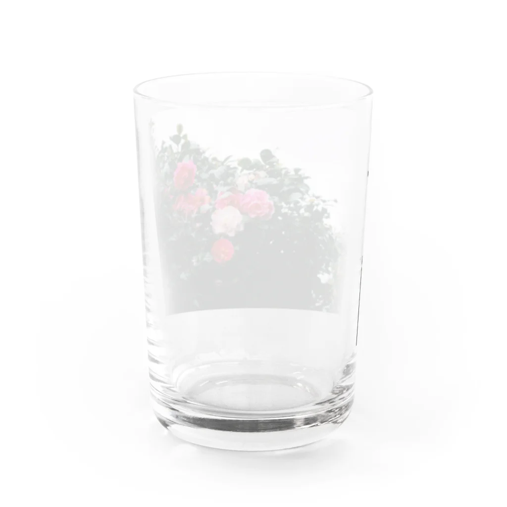 asa.fのツバキ Water Glass :back