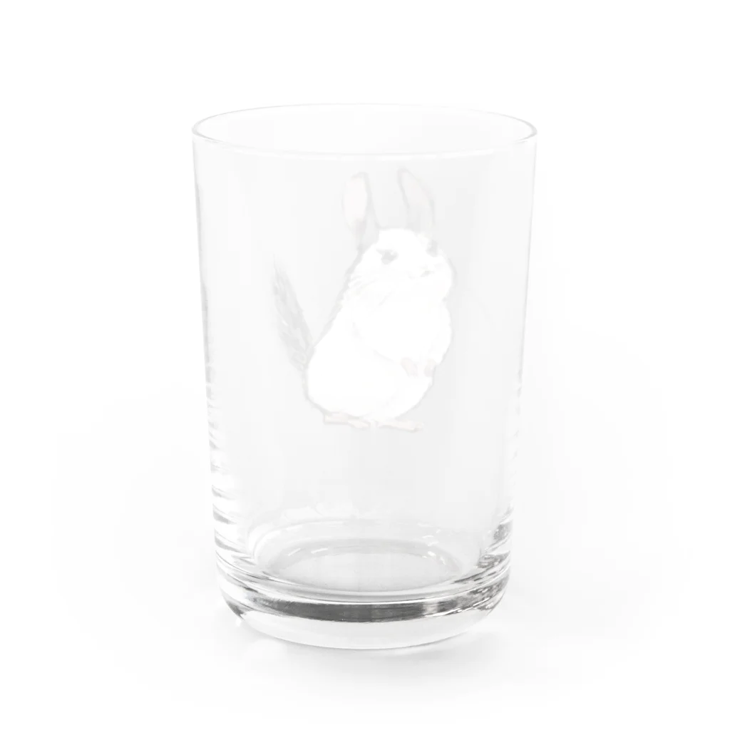 ニアコのチンチラパイドちゃん Water Glass :back