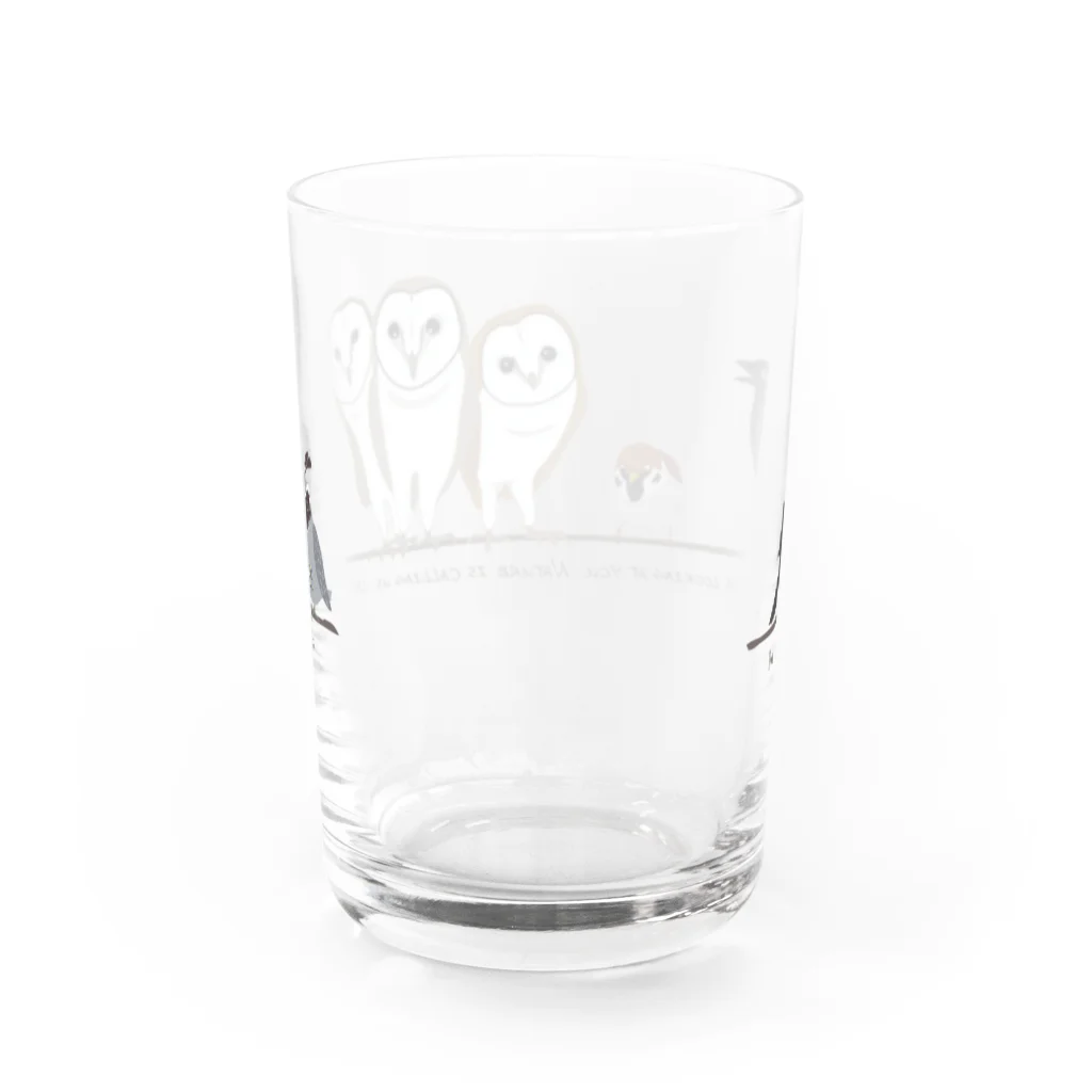 nachau7の鳥たちのさえずり Water Glass :back