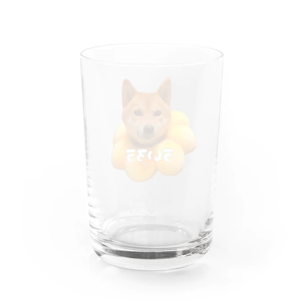 xxxxの柴犬のういろう Water Glass :back