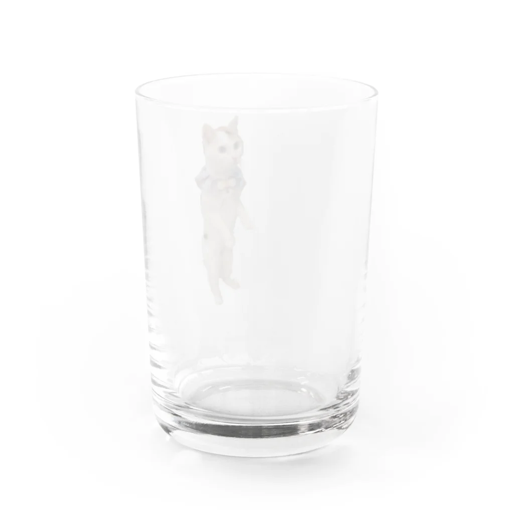 りずママの立ち猫華っち Water Glass :back