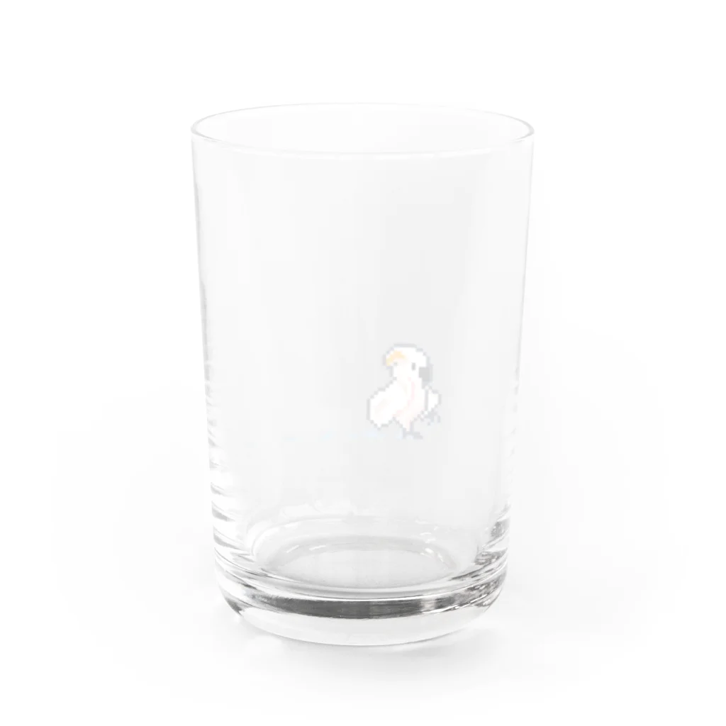 ソケットれんちのDOTオウム_オオバタンの水遊び グラス反対面