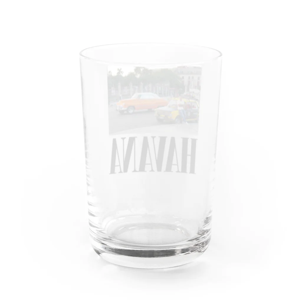 MusicahoricのHAVANA - smells likes weed spirit  Water Glass :back