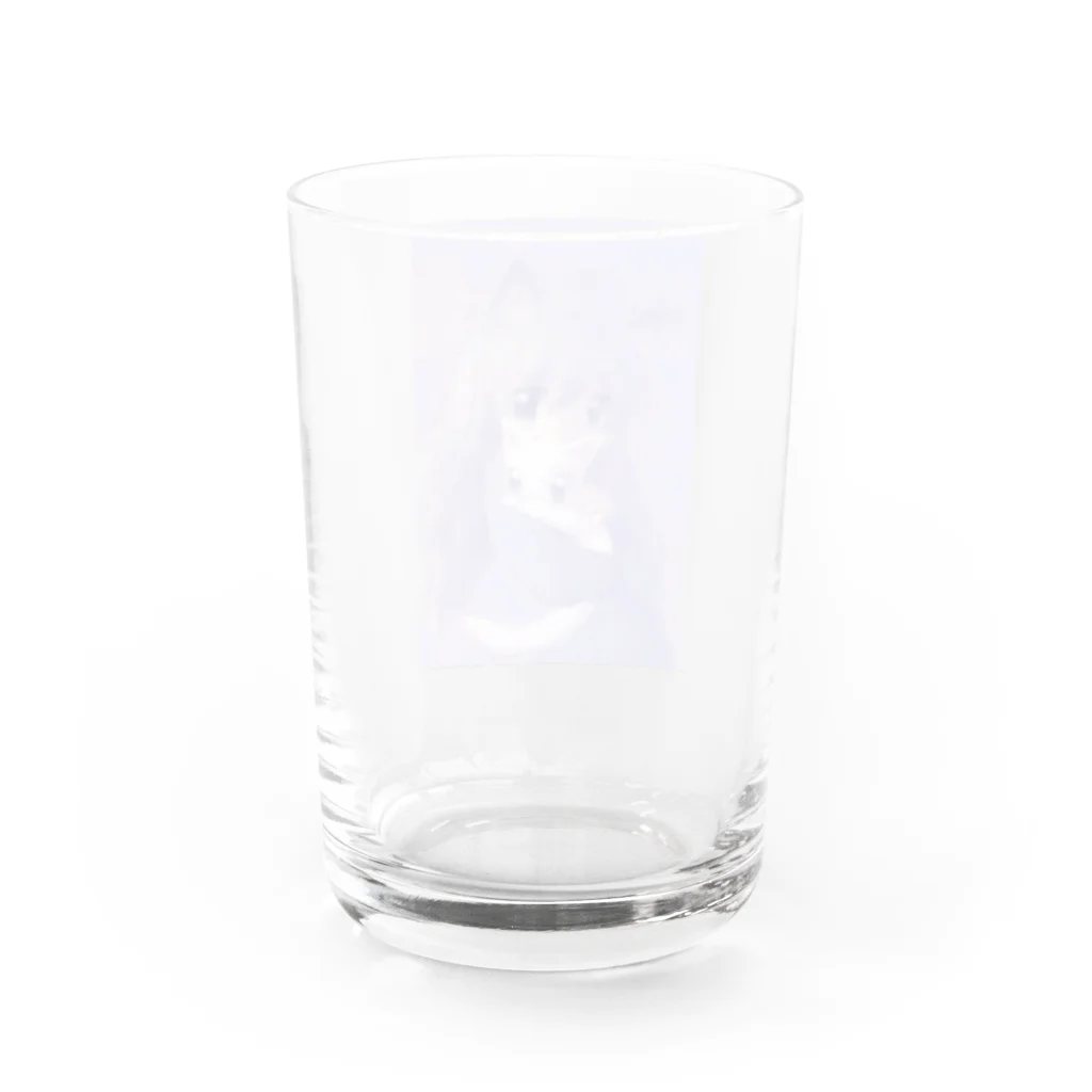 猫と睡眠薬のネコと和解せよ Water Glass :back