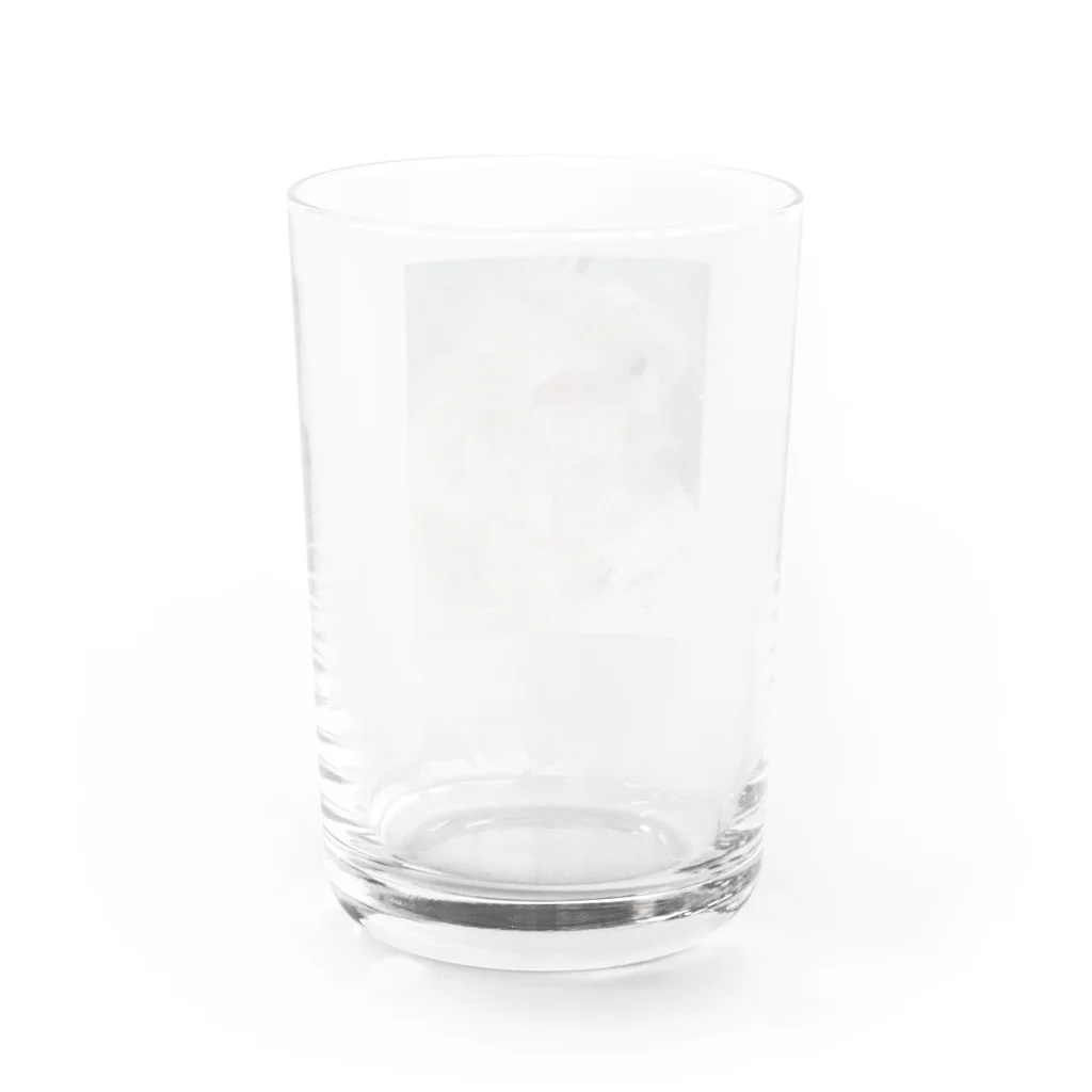 fuukachan316のサテンハムスターのモフ🐹 Water Glass :back