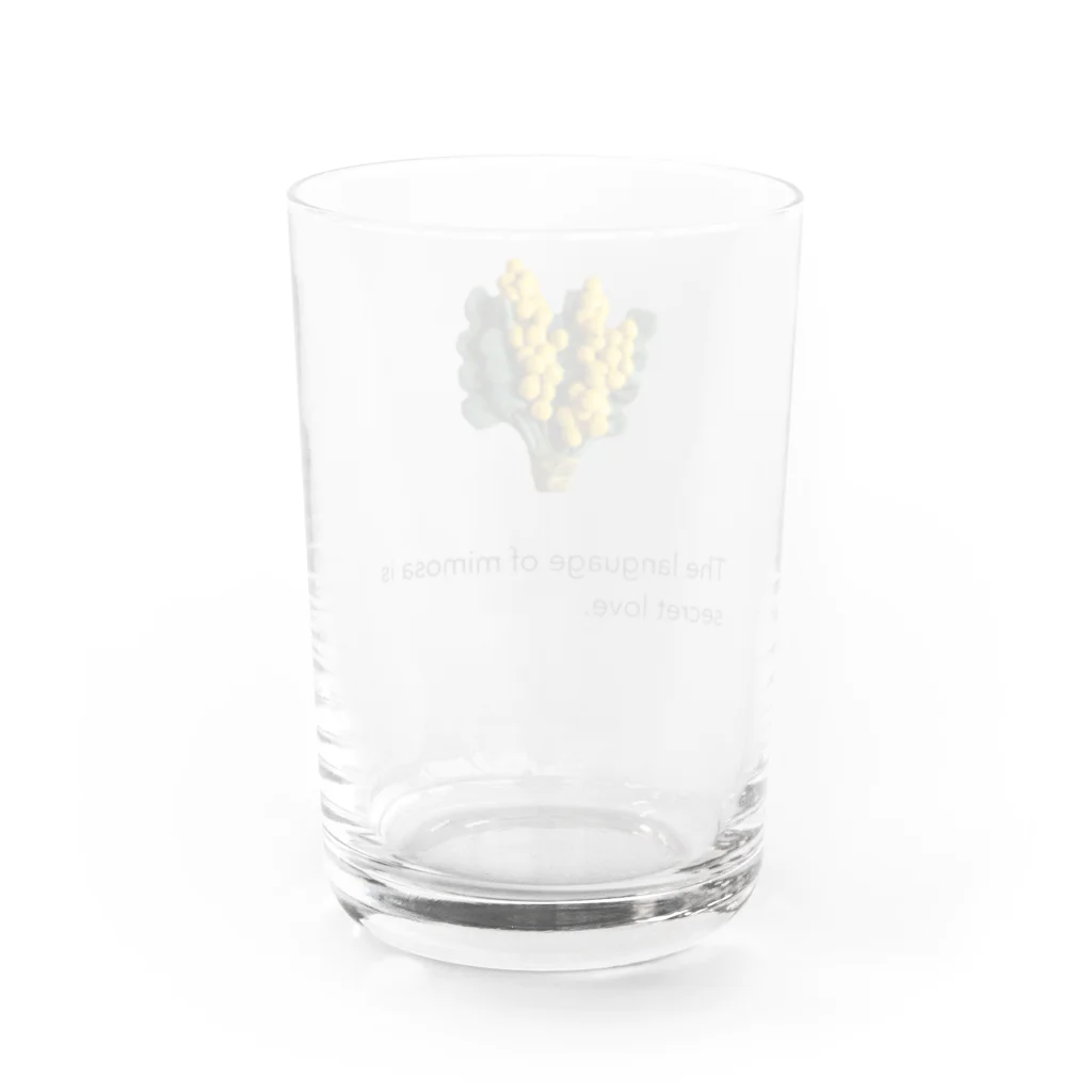 LePuyのmimosa花言葉 Water Glass :back