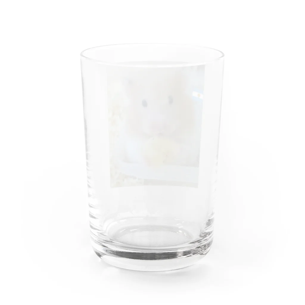 荒ぶるハムスターのバナナハム Water Glass :back